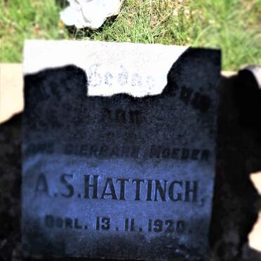 HATTINGH A.S. -1920