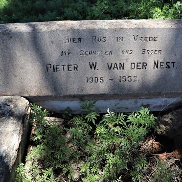 NEST Pieter W., van der 1905-1932