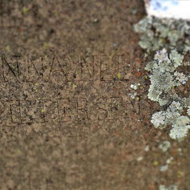 NEL Anna Johanna nee PIETERSEN 1876-19??