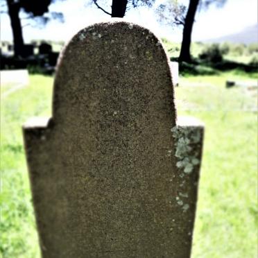 NEL Anna Johanna nee PIETERSEN 1876-19??