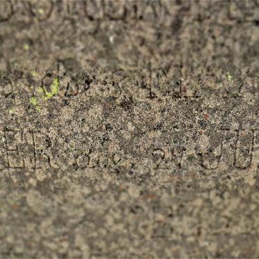 NEL Anna Johanna nee PIETERSEN 1876-19??