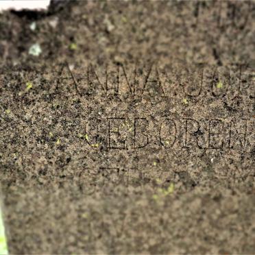 NEL Anna Johanna nee PIETERSEN 1876-19??