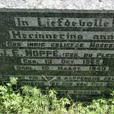 NOPPE J.E. nee DU PLESSIS 1865-1940
