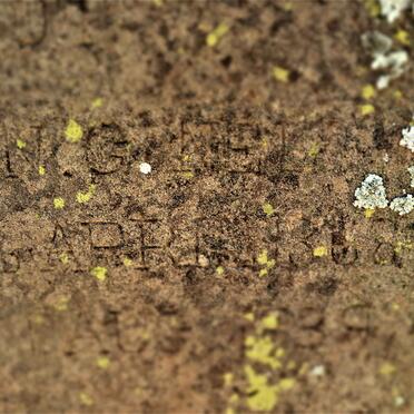 NEL Christian 1858-1889