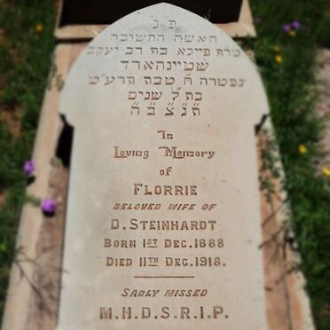 STEINHARDT Florrie 1888-1918