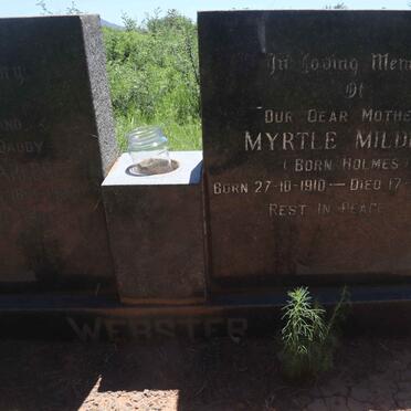 WEBSTER Myrtle Mildred nee HOLMES 1910-1981