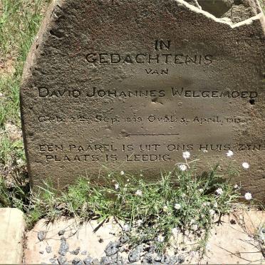 WELGEMOED David Johannes 1899-1913