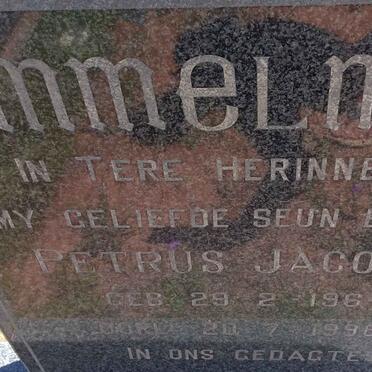 IMMELMAN Petrus Jacobus 1964-1996