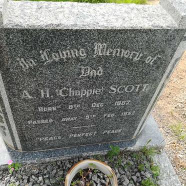 SCOTT A.H. 1882-1952