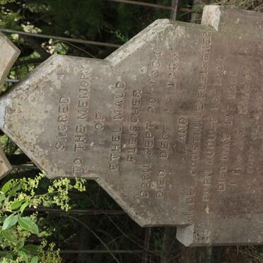 FLEISCHER Ethel Maud 1884-1885 :: FLEISCHER Mabel Constance 1883-1886