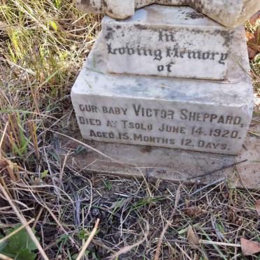 SHEPPARD Victor -1920