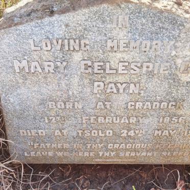 PAYN Mary Gelespie Gibb 1856-1936
