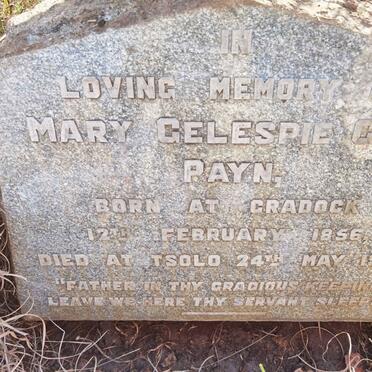 PAYN Mary Gelespie Gibb 1856-1936