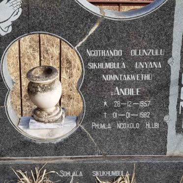 SOGONI Andile 1957-1982