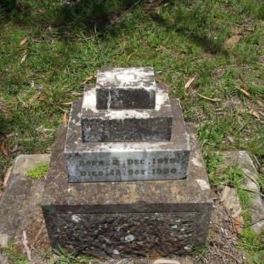 CRAIG William John 1910-1920
