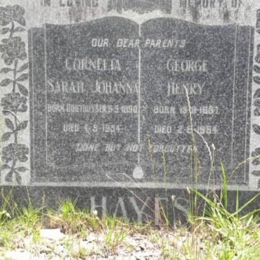 HAYES George Henry 1887-1954 &amp; Cornelia Sarah Johanna OOSTHUYSEN 1890-1954