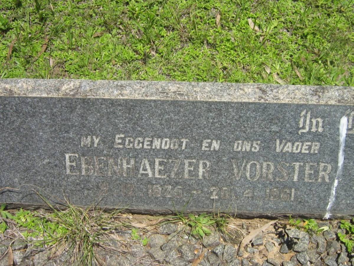 VORSTER Ebenhaezer 1925-1961