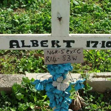? Albert -2001