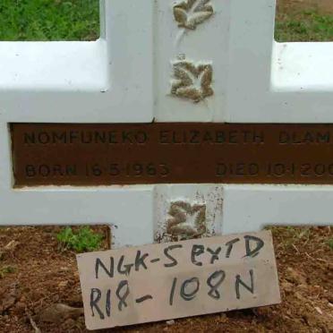 DLAMINI Nomfuneko Elizabeth 1963-2003