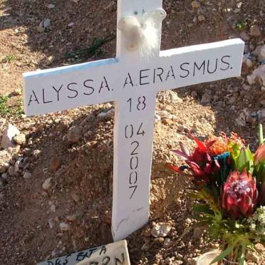 ERASMUS Alyssa A. -2007