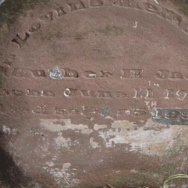 JACK ? H. 1911-1932