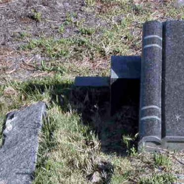 LANDMAN Marie 1956-1981