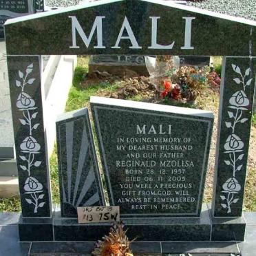 MALI Reginald Mzolisa 1957-2005