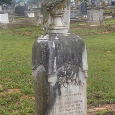 PANNELL Annie Maria nee DOLLEY -1903