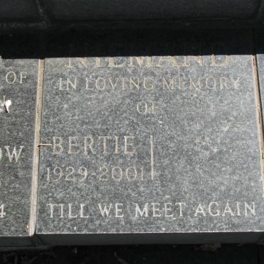 N - Vanne :: Surnames - N