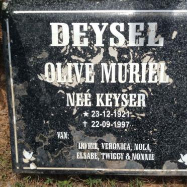 Eastern Cape, UITENHAGE district, Malauws Laagte 67, Springbokvlakte, Doornhoek, farm cemetery