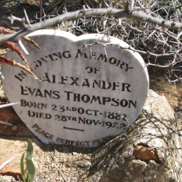 THOMPSON  Alexander Evans 1888-1922