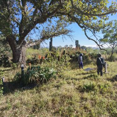 2. Overview of cemetery