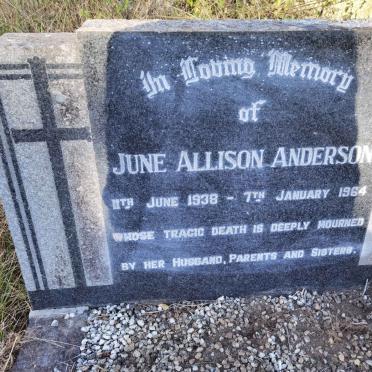 ANDERSON June Allison 1938-1964
