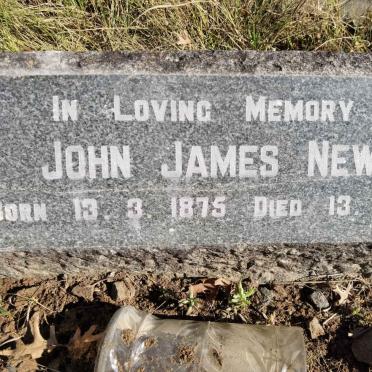 NEWING John James 1875-1954