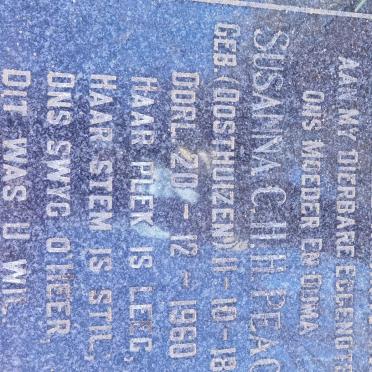 P - Vanne :: Surnames - P