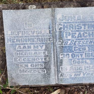 PEACH Johanna Christina nee BESSENGER 1866-1944