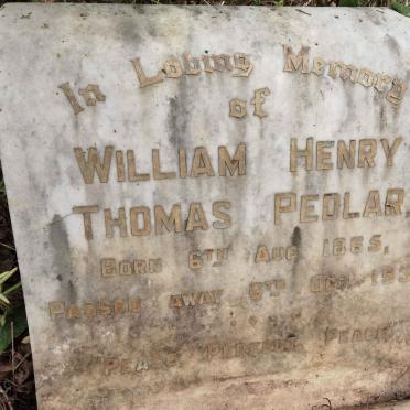 PEDLAR William Henry Thomas 1865-1936