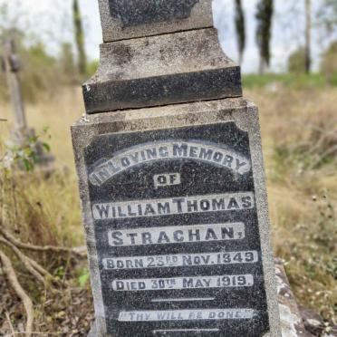 STRACHAN William Thomas 1849-1919