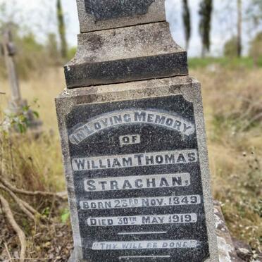 STRACHAN William Thomas 1849-1919
