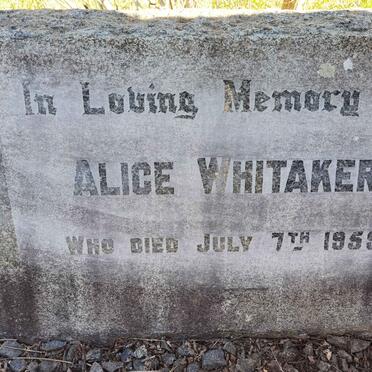 WHITAKER Alice -1959