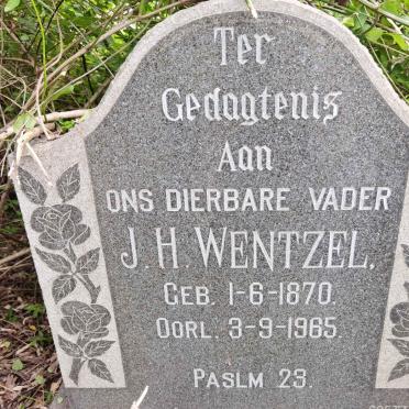WENTZEL J.H. 1870-1965
