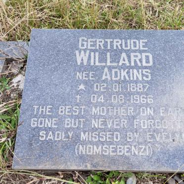 WILLARD Gertrude nee ADKINS 1887-1966