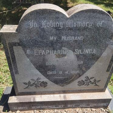 SILINGA Epapharius 1918-1965