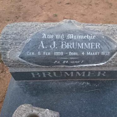 BRÜMMER A.J. 1909-1958