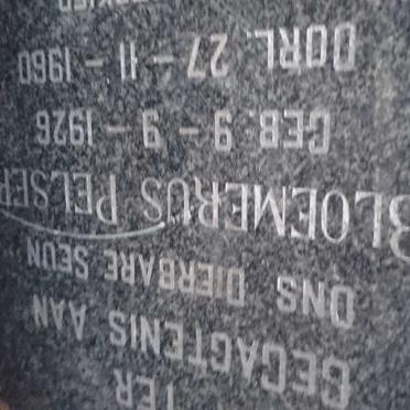 PELSER Bloemerus 1926-1960