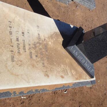 WALT ?, van der 1917-1968