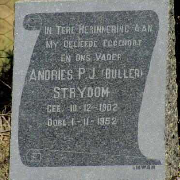 Eastern Cape, VENTERSTAD district, Broek Poort 112, Cheviotdale farm cemetery