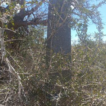 KNOTT George 1859-1919 &amp; Dorothy L. COCKROFT 1862-1925