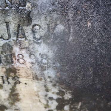 BRADFIELD J.F. -1898