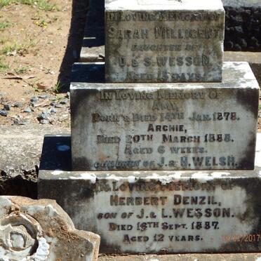 WESSON Sarah Millicent :: WESSON Herbert Denzil -1887 :: WELSH Amy -1878 :: WELSH Archie 1888-1888